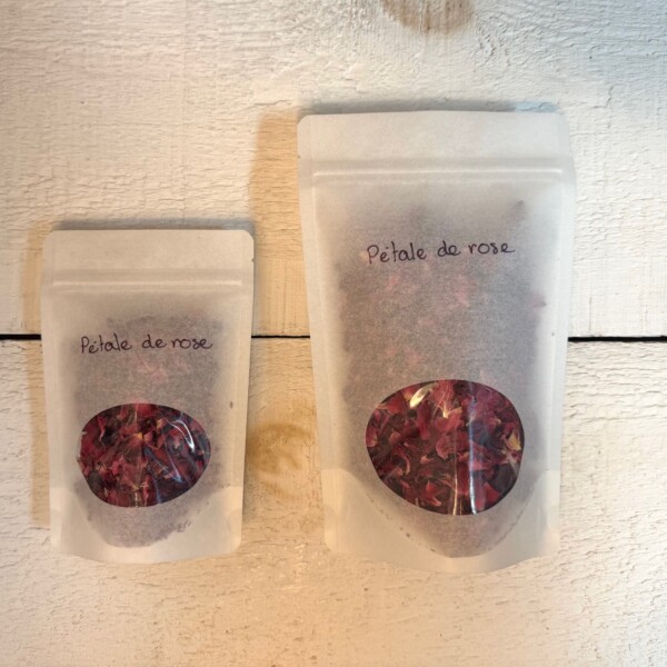Rose – Image 2